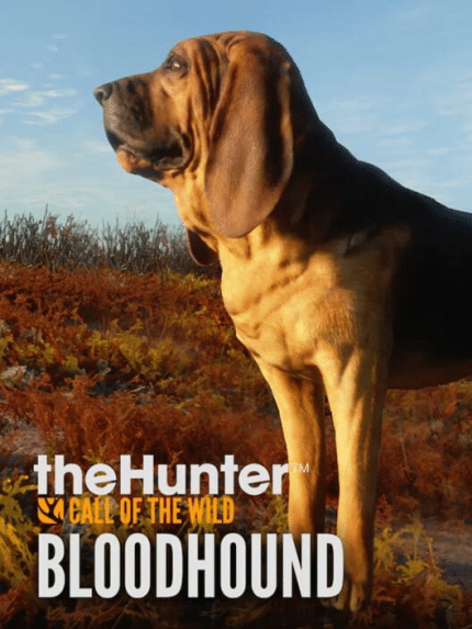 theHunter: Call of the Wild - Bloodhound (PC) - Steam Key - GLOBAL