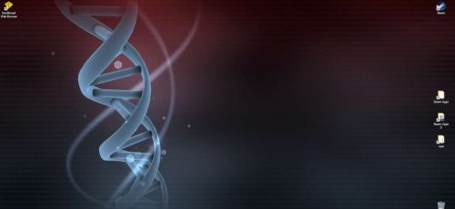 ss_c8bfa87254c3bec668777686ad16bc57b933e32e.1920x1080_1_1_1.jpg
